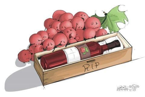 vino e alcol doctorwine