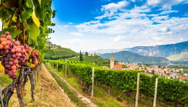 Il sentiero del gewurztraminer Alto Adige