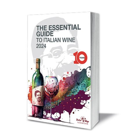 THE ESSENTIAL GUIDE TO ITALIAN WINE 2025 visual data 3