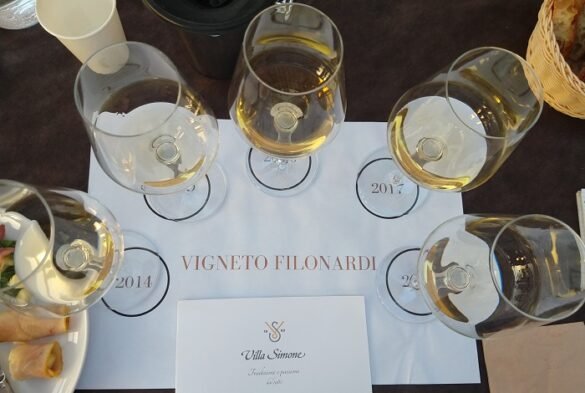 Villa Simone-Degustazione Vigneto Filonardi