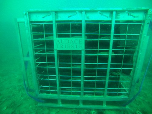 Una delle gabbie dove le bottiglie del Trieste Prosecco Audace  di Serena Wines 1881 si sono affinate sott'acqua nel Golfo di Trieste