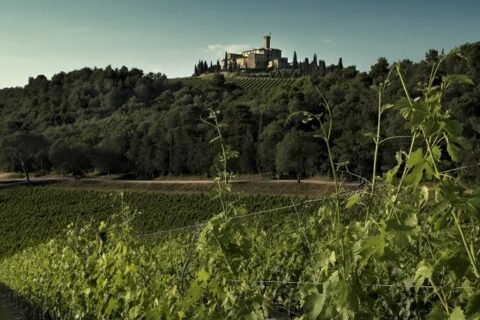 Banfi Montalcinio, il Castello di Poggio alle Mura