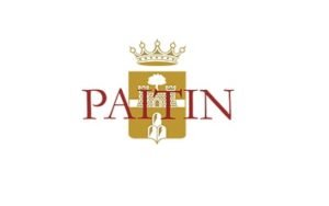 Paitin logo