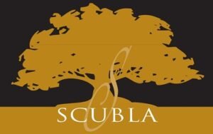 Roberto Scubla logo Roberto Scubla logo