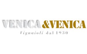 Venica-e-Venica-logo Venica & Venica logo