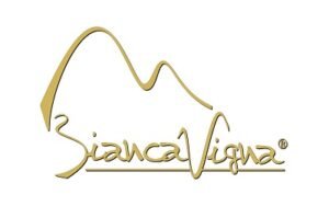 BiancaVigna logo BiancaVigna logo