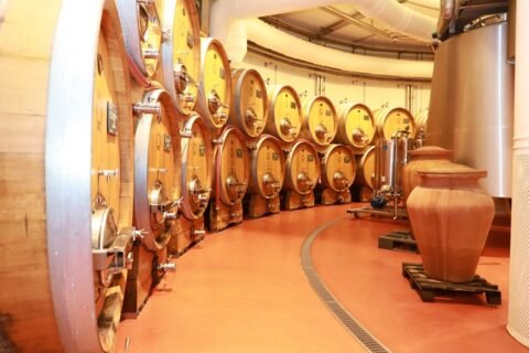 Collina delle Fate cantina