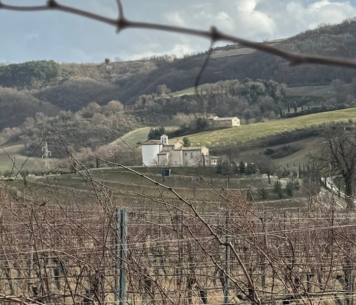 Collina delle Fate, il panorama con i vigneti