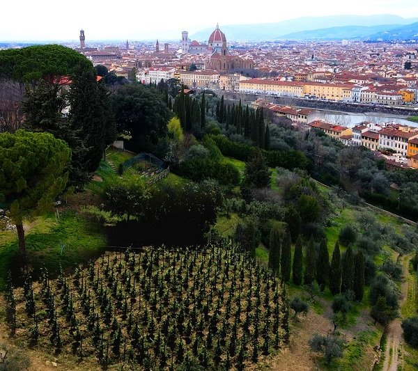 Il sogno di Maria Fittipaldi Menarini: Vigna Michelangelo come sarà nel 2027