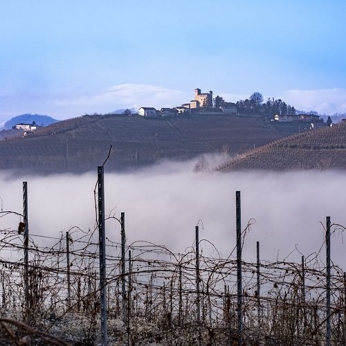 Vietti, the vineyards