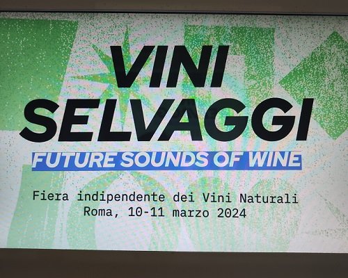 Vini Selvaggi 2024 Roma schermo
