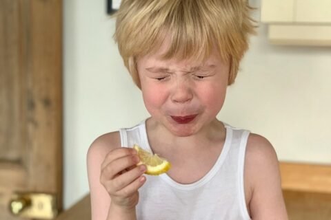 Quattro sapori più uno. L’aspro