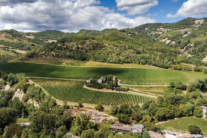 Poderi dal Nespoli, Romagna