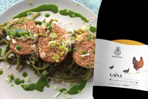 Polpettone e Montelio Provinci di Pavia Rosso Gaina