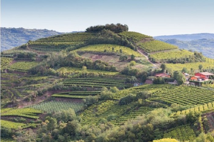 Colline Soave