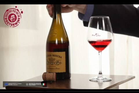 Lambrusco di Sorbara Vecchia Modena Premium Mention Honorable 2023 Cleto Chiarli