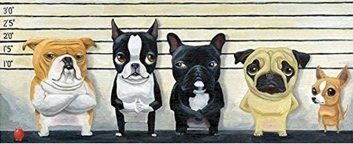 Identikit degli avventori del ristorante stellato