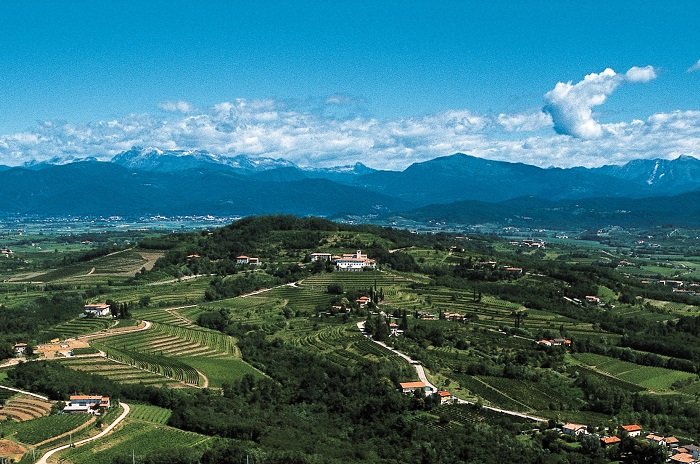 Sauvignon Friuli le colline