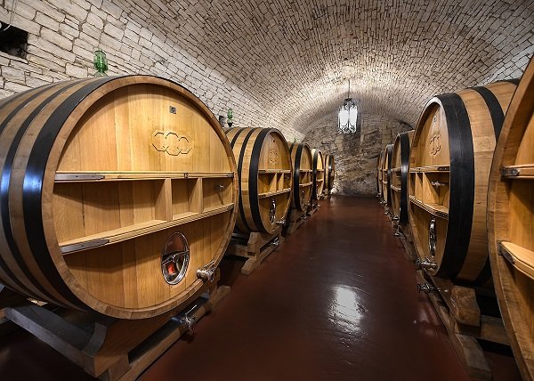Cantina Torrevento, nero di troia