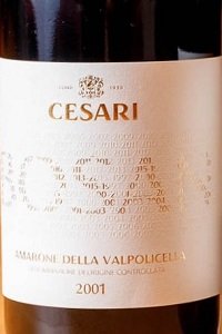 Amarone della Valpolicella Bosan 2001 Cesari