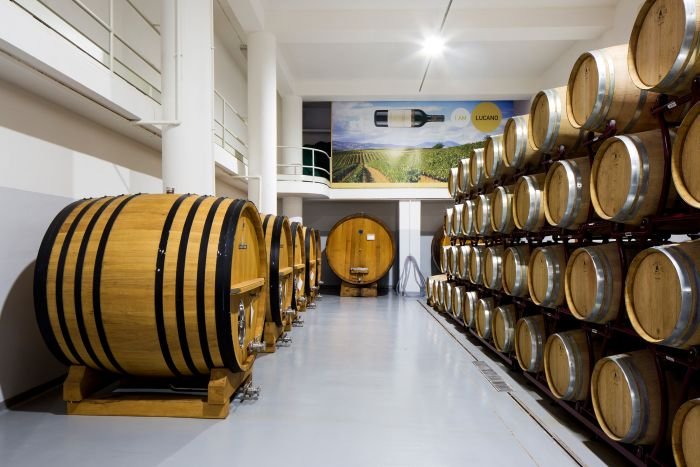 Venosa winery, the winery