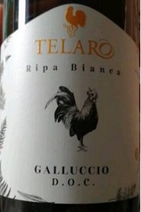 Galluccio Bianco Ripa Bianca 2023 Cantine Telaro