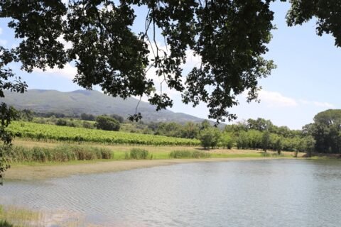 Galluccio, foto Porto di Mola
