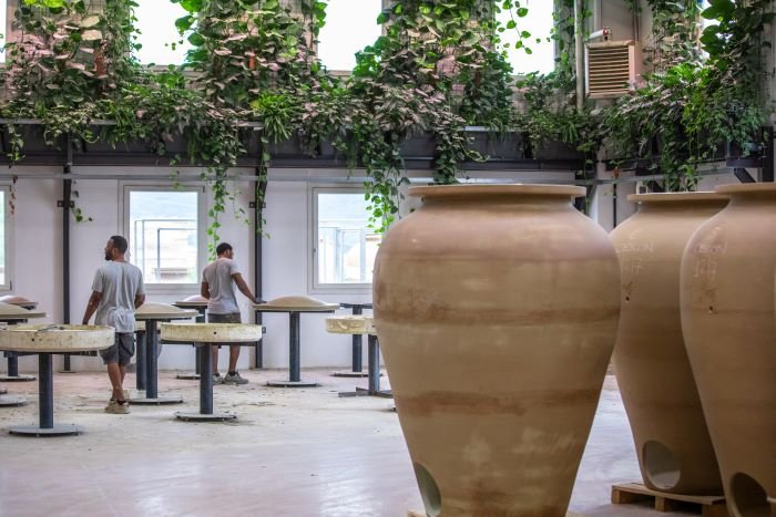 Wine defender Tava supereroe del mondo del vino