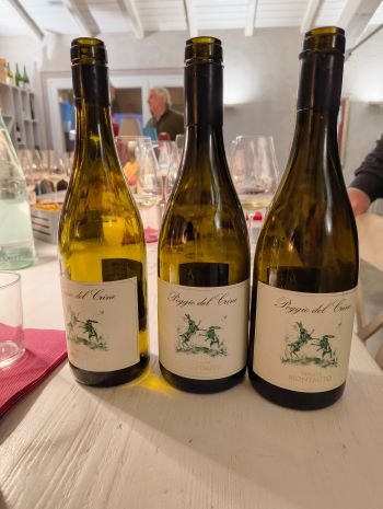 montauto-poggio-del-crine-sauvignon-2018-2019-2021