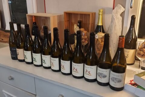 Tenuta Montauto degustazione Poggio del Crine