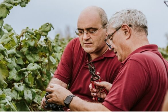 Tenuta-Liliana-Salento-1 Tenuta Liliana Salento