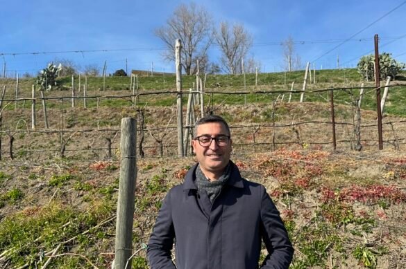 Cantine Federiciane Antonio Palumbo Cantine Federiciane Antonio Palumbo