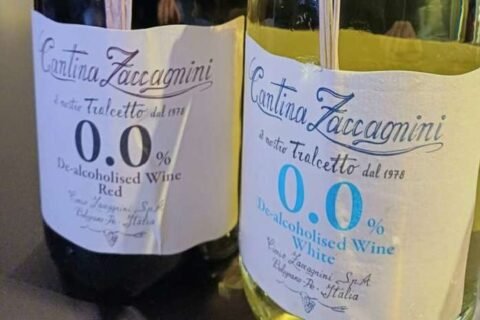 Vini dealcolati