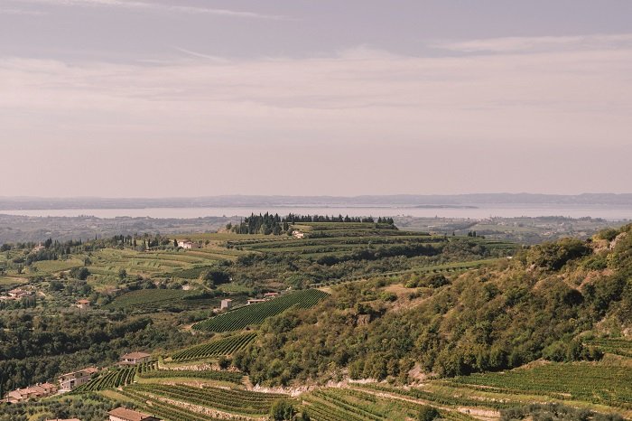 Allegrini, La Grola Hill