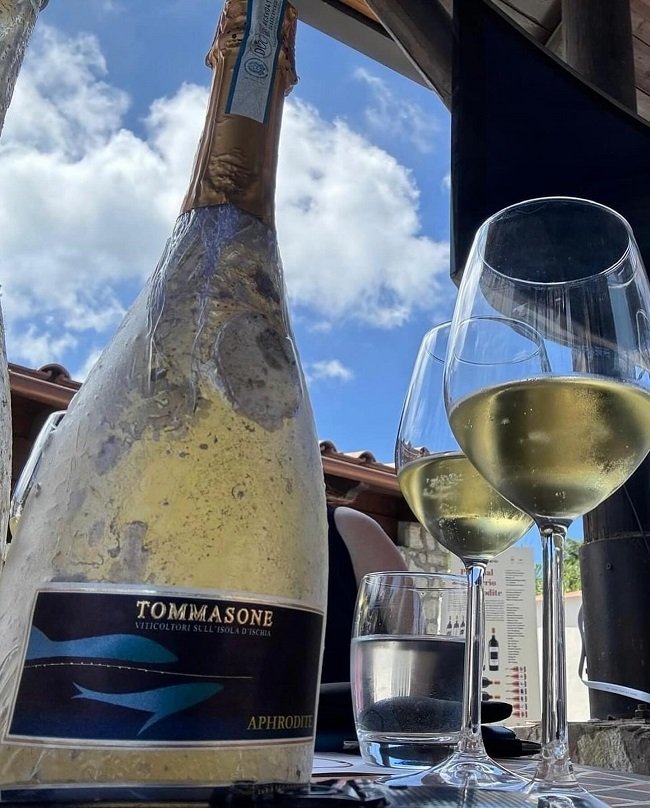 Tommasone, Aphrodine affinata in mare i calici