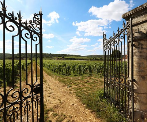 Vezelay