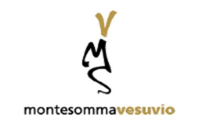 Monte Somma Vesuvio logo