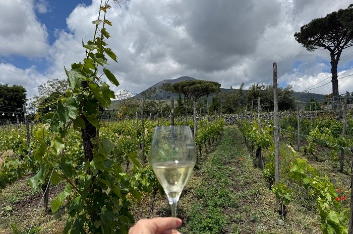 Vesuvio in effervescenza