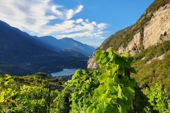 Cavit panorama 1 Cavit panorama