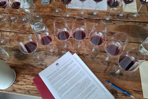 Degustazione Amepeleia