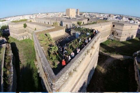 Cupertinum, Vigneto nel Castello