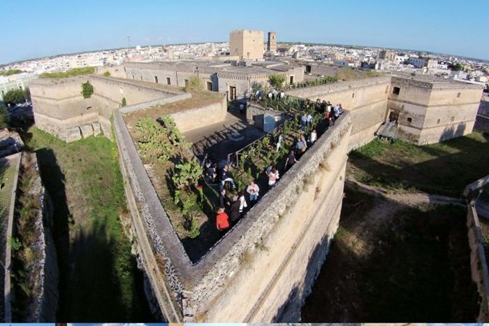 Cupertinum, Vigneto nel Castello