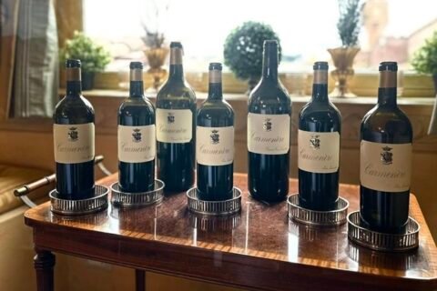 San Leonardo Carmenère