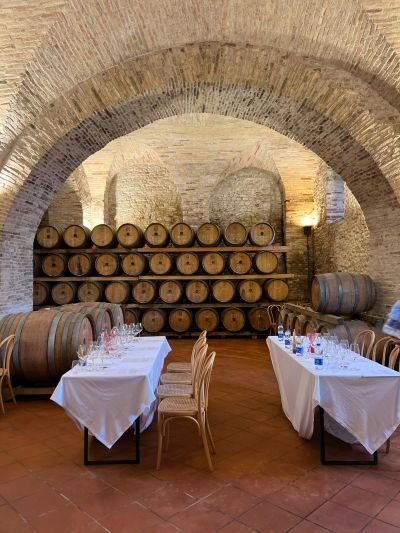 San Lorenzo Vini, degustazione in cantina