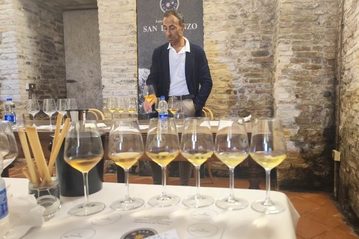 San Lorenzo Vini, degustazione pecorino