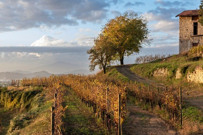 Castello di Grumello paesaggio