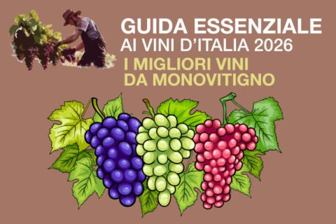 Monovitigno doctorwine 2026