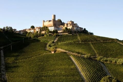 Vietti, Castiglione Falletto