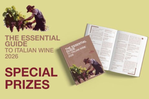 special prizes DoctorWIne 2026