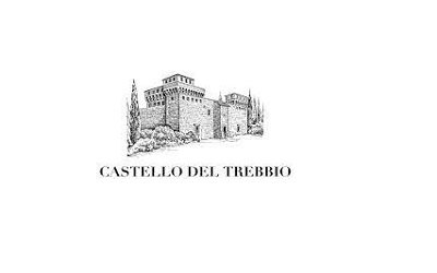 Castello del Trebbio logo